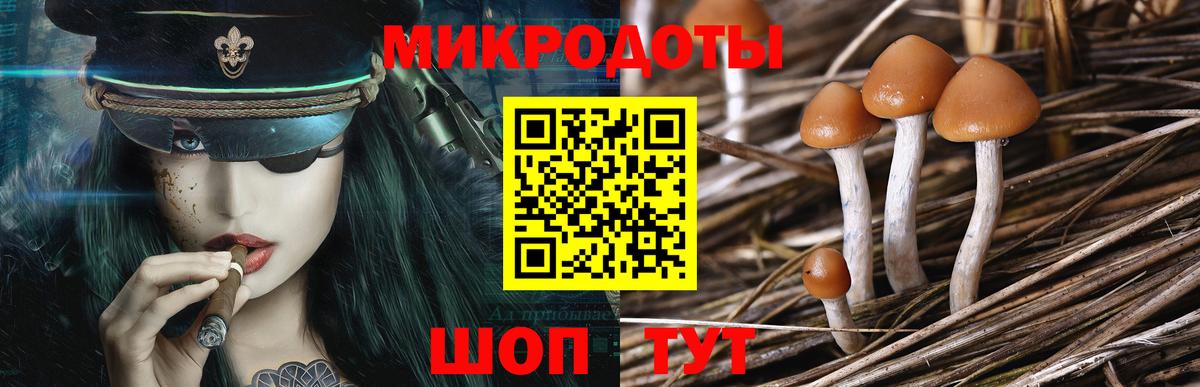 Псилоцибиновые грибы мухоморы  Вход с VPN  Галлюциногенные грибы Psilocybe  Богородицк 
